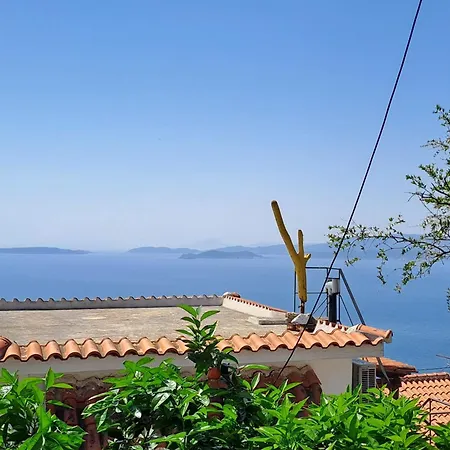 Blue, Traditional House 度假居
