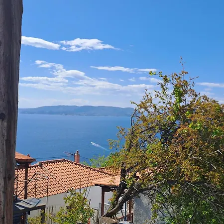 度假居 Blue, Traditional House